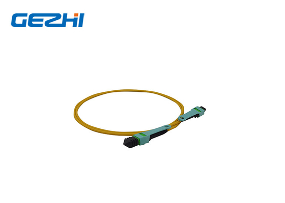 Обновьте свою сеть с помощью LC OM3/OM4 8/12/24f MPO/MTP Fiber Optic Patch Cord MPO